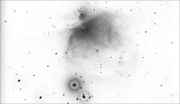 Black and white photographic plate with Orion nebula